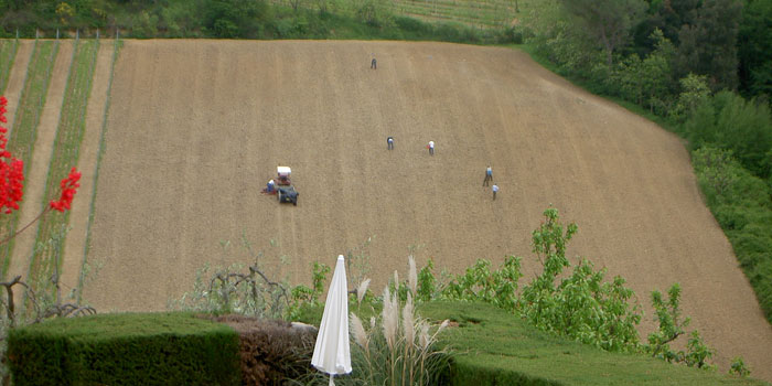 Rampa di Fugnano, Azienda agricola