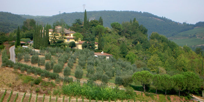 Rampa di Fugnano, Azienda agricola