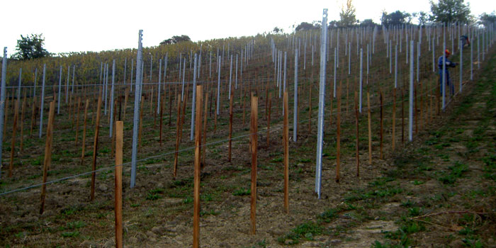 Rampa di Fugnano, Azienda agricola