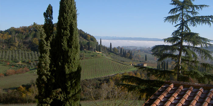 Rampa di Fugnano, Azienda agricola