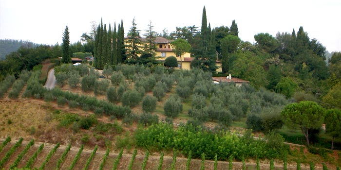 Rampa di Fugnano, Azienda agricola