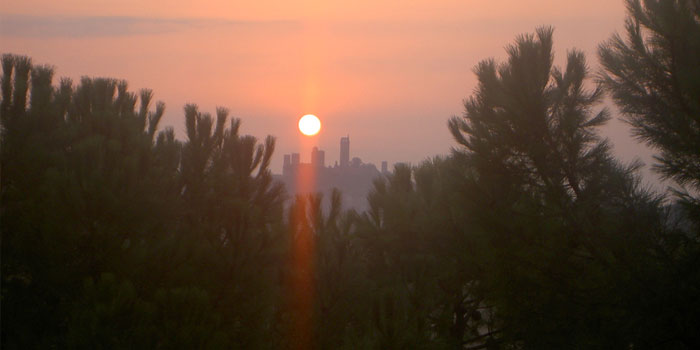 Rampa di Fugnano, Azienda agricola