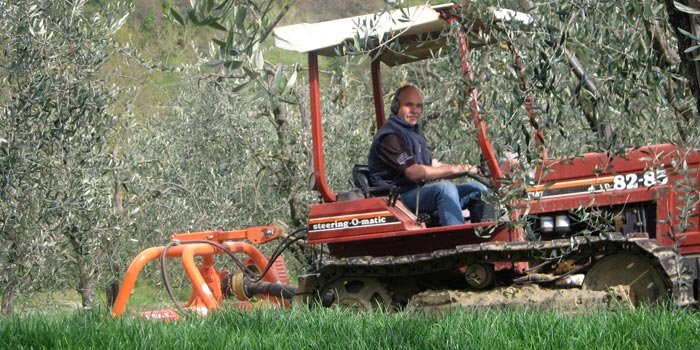 Rampa di Fugnano, Azienda agricola