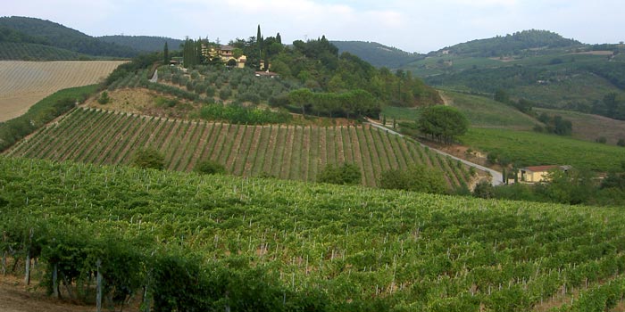 Rampa di Fugnano, Azienda agricola