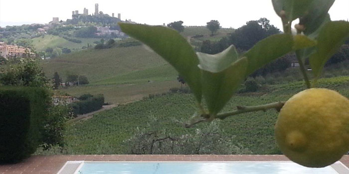 Rampa di Fugnano, Azienda agricola